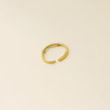 Plusia Brooch - Luisa López