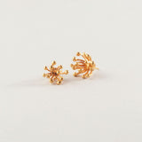 Dalia Earrings Curve