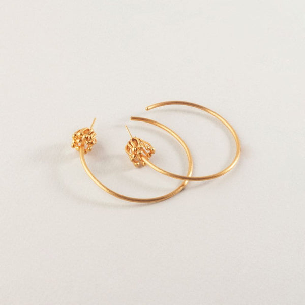 Dalia Hoops