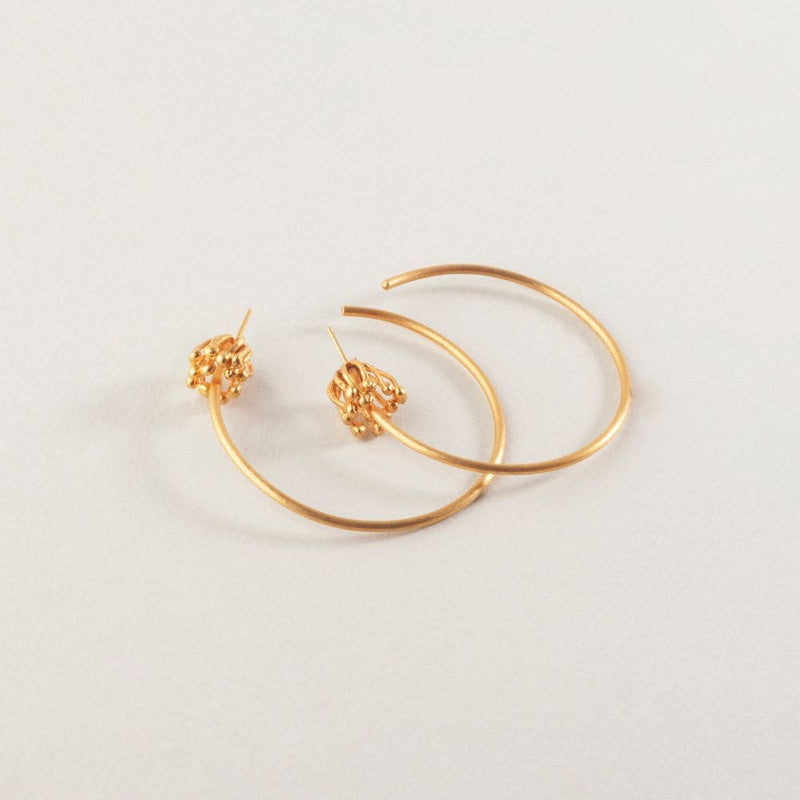 Dalia Hoops
