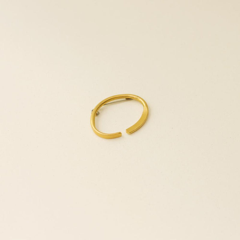 Plusia Brooch - Luisa López