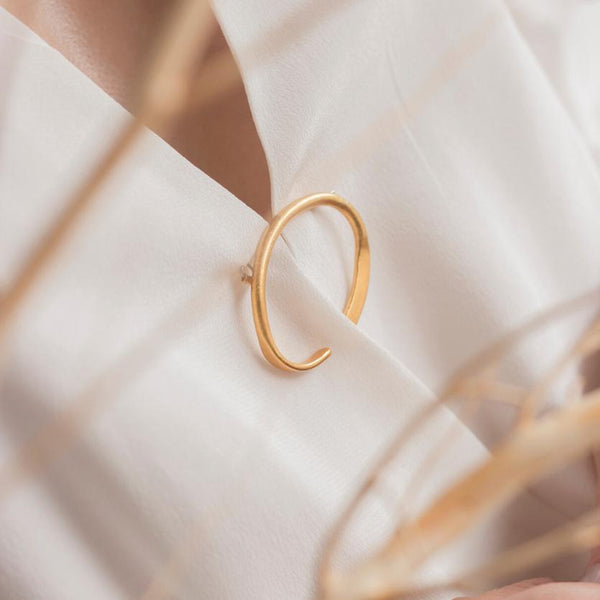 Plusia Brooch - Luisa López